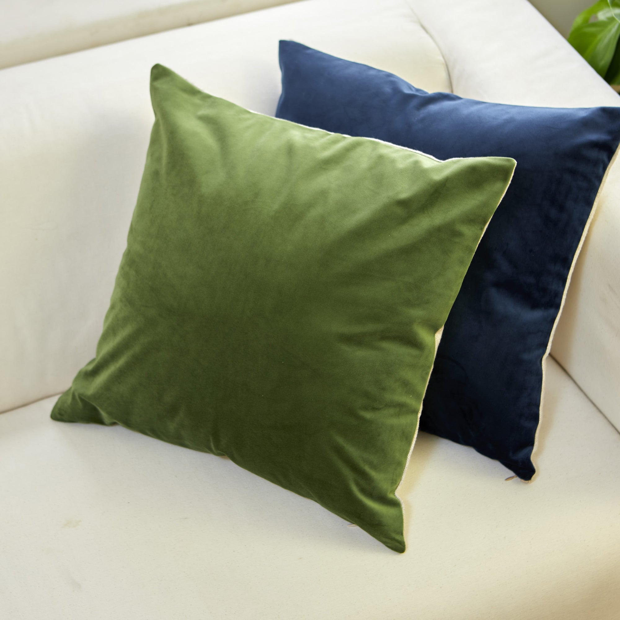 Vert mousse