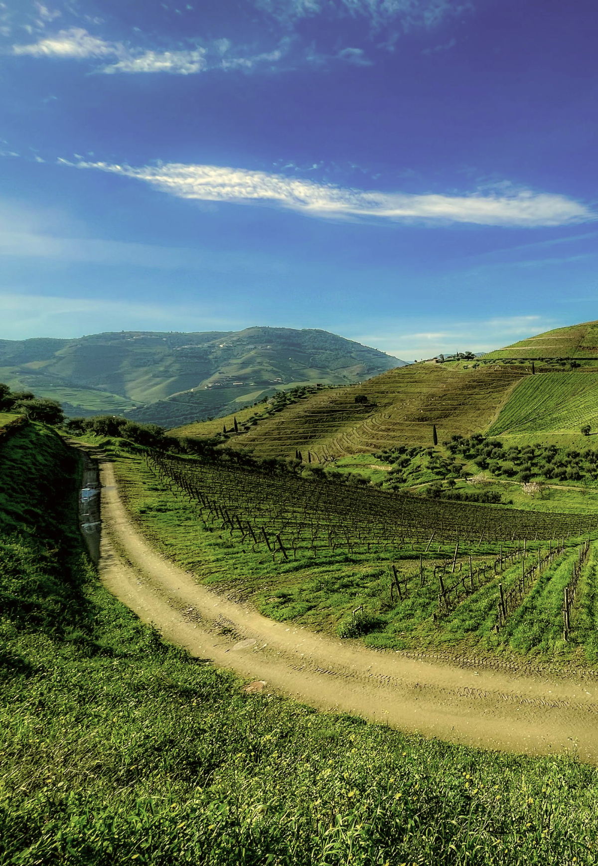 fabrication_ethique_36915249-2acd-4716-8898-81879eb0671e