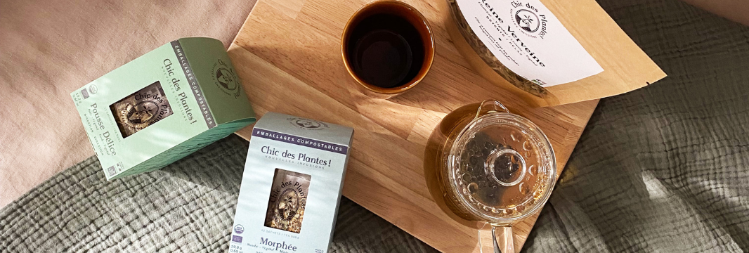 Quelles plantes & infusions pour bien dormir ?