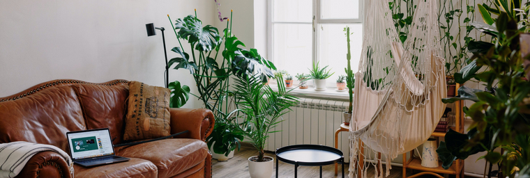 Salon Cocooning Naturel : le guide déco ultime !