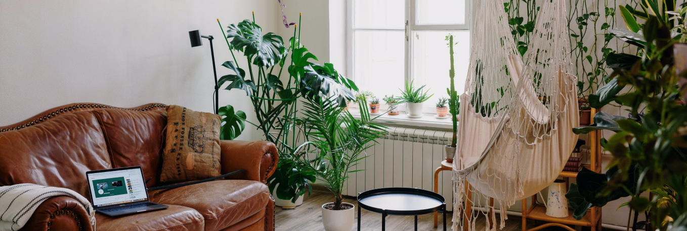 Salon Cocooning Naturel : le guide déco ultime !